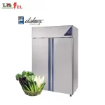 Chiller Upright Double Doors